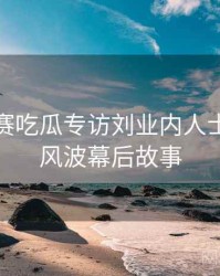 每日大赛吃瓜专访刘业内人士：抄袭风波幕后故事