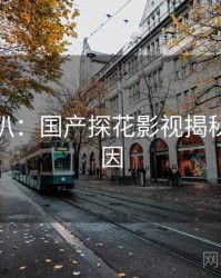 独家深扒：国产探花影视揭秘背后原因