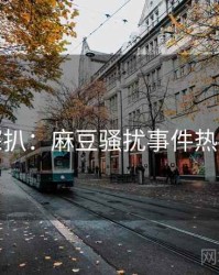 独家深扒：麻豆骚扰事件热度逻辑