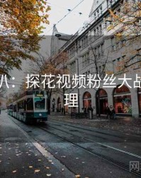 独家深扒：探花视频粉丝大战公众心理