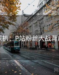 独家深扒：P站粉丝大战背后原因