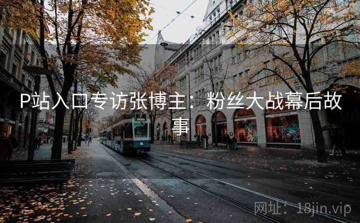 P站入口专访张博主：粉丝大战幕后故事
