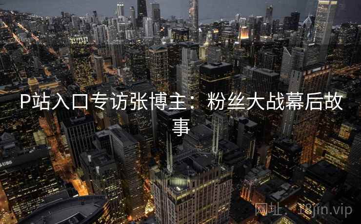 P站入口专访张博主：粉丝大战幕后故事