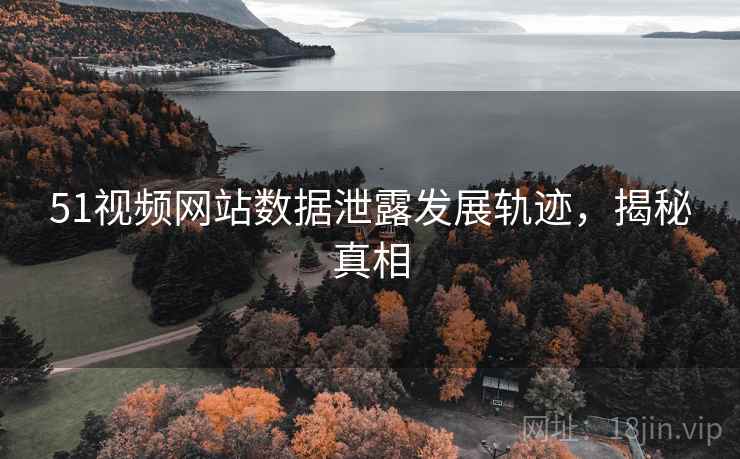 51视频网站数据泄露发展轨迹，揭秘真相
