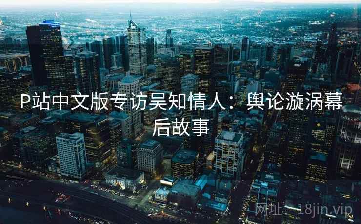 P站中文版专访吴知情人：舆论漩涡幕后故事