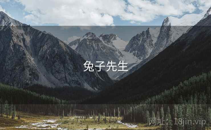 兔子先生