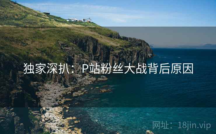 独家深扒：P站粉丝大战背后原因