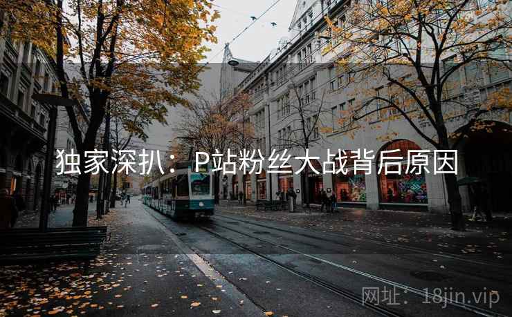 独家深扒：P站粉丝大战背后原因