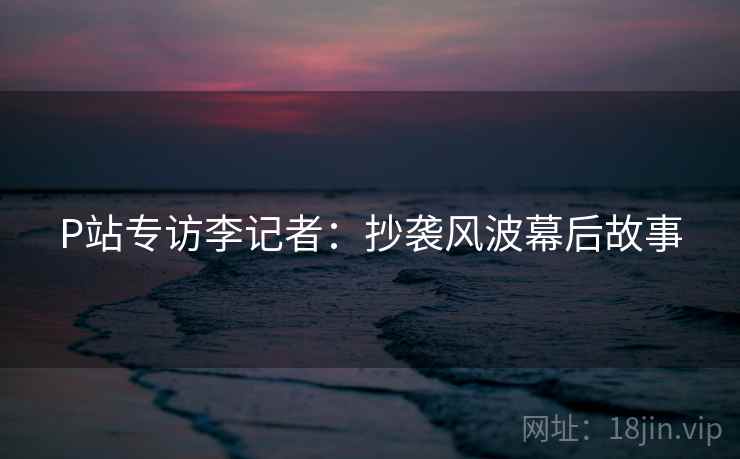 P站专访李记者：抄袭风波幕后故事