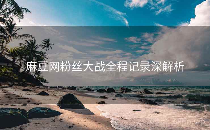 麻豆网粉丝大战全程记录深解析