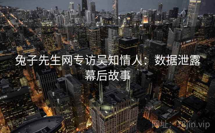 兔子先生网专访吴知情人：数据泄露幕后故事