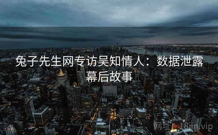 兔子先生网专访吴知情人：数据泄露幕后故事