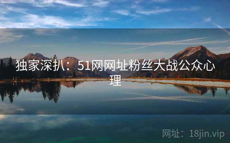 独家深扒：51网网址粉丝大战公众心理
