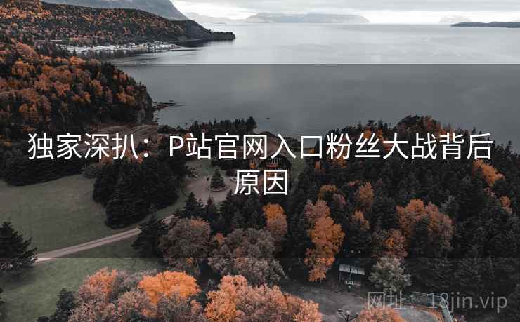 独家深扒：P站官网入口粉丝大战背后原因