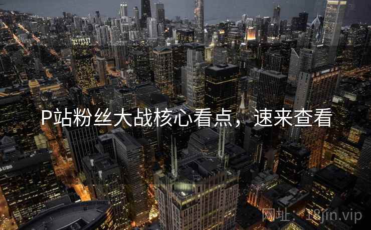 P站粉丝大战核心看点，速来查看