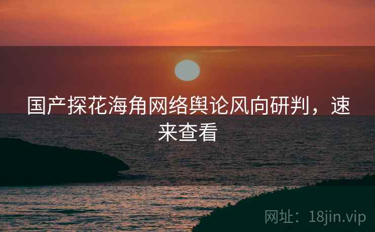 国产探花海角网络舆论风向研判，速来查看