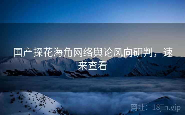 国产探花海角网络舆论风向研判，速来查看