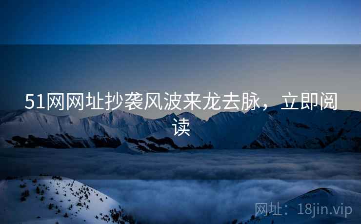 51网网址抄袭风波来龙去脉，立即阅读