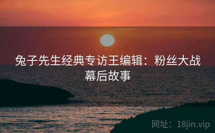 兔子先生经典专访王编辑：粉丝大战幕后故事