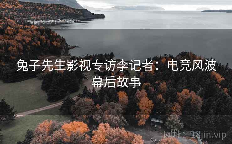 兔子先生影视专访李记者：电竞风波幕后故事