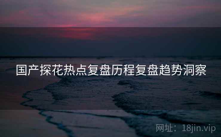 国产探花热点复盘历程复盘趋势洞察