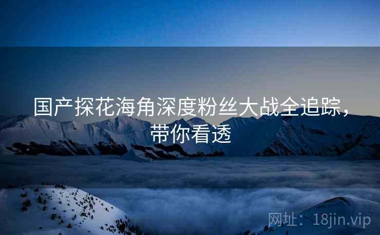 国产探花海角深度粉丝大战全追踪，带你看透