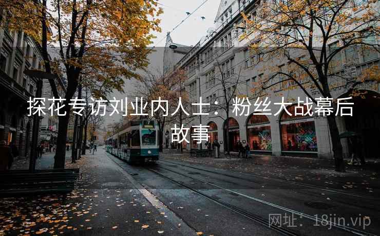探花专访刘业内人士：粉丝大战幕后故事